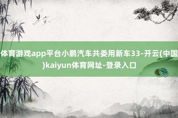 体育游戏app平台小鹏汽车共委用新车33-开云(中国)kai