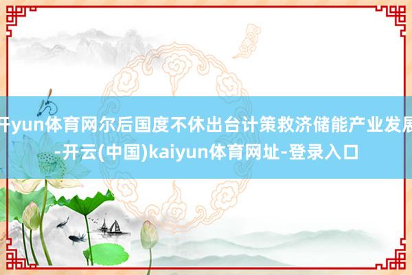 开yun体育网尔后国度不休出台计策救济储能产业发展-开云(中