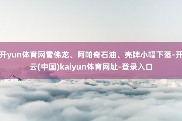 开yun体育网雪佛龙、阿帕奇石油、壳牌小幅下落-开云(中国)kaiyun体育网址-登录入口