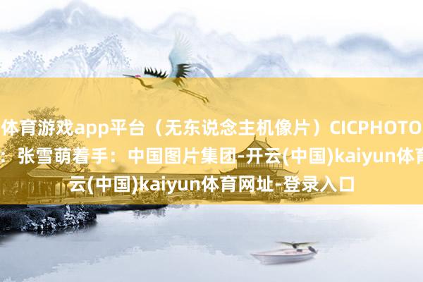 体育游戏app平台（无东说念主机像片）CICPHOTO/王建
