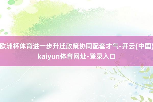 欧洲杯体育进一步升迁政策协同配套才气-开云(中国)kaiyun体育网址-登录入口