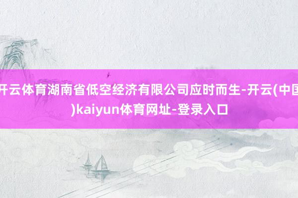 开云体育湖南省低空经济有限公司应时而生-开云(中国)kaiyun体育网址-登录入口