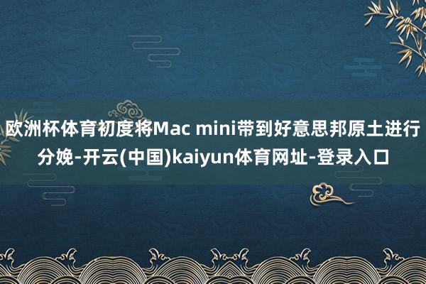 欧洲杯体育初度将Mac mini带到好意思邦原土进行分娩-开