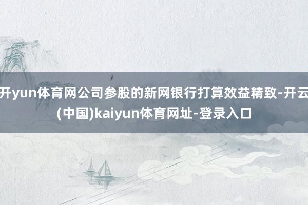开yun体育网公司参股的新网银行打算效益精致-开云(中国)k